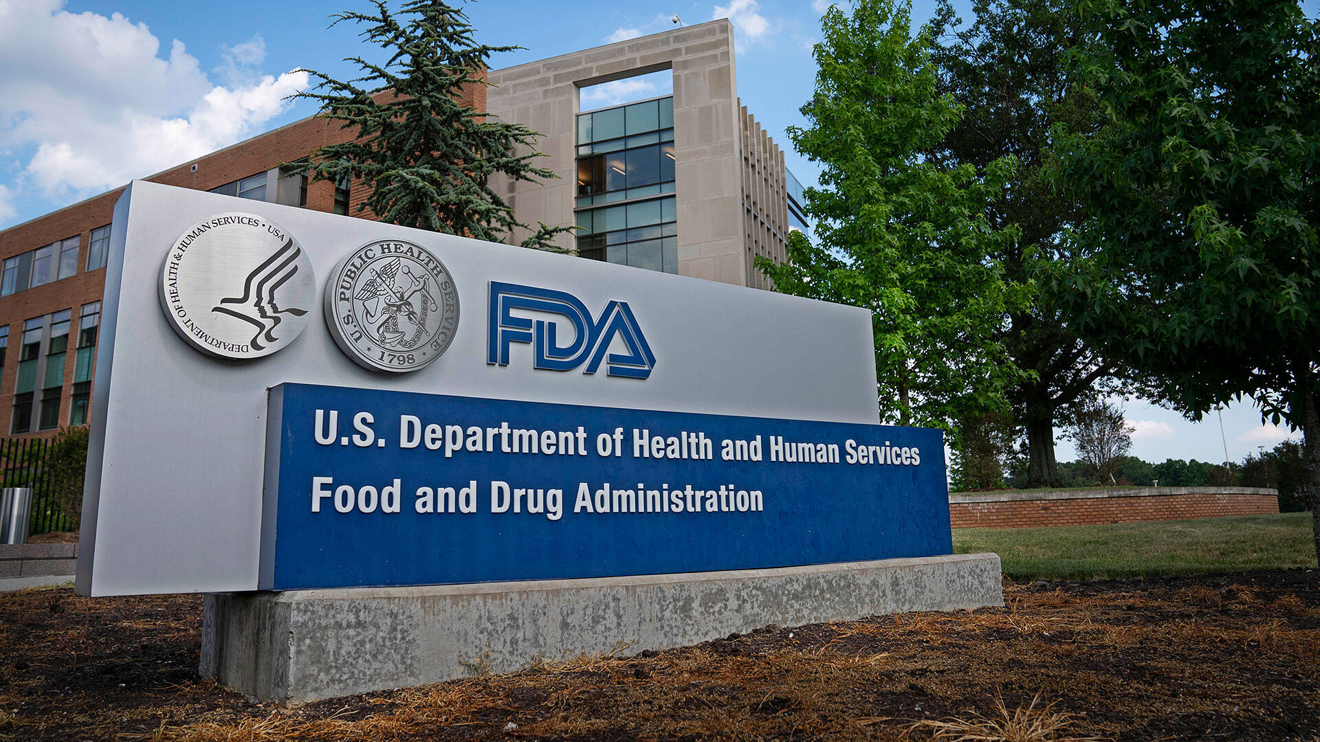 Alzheimer's drug lecanemab receives accelerated approval from the FDA